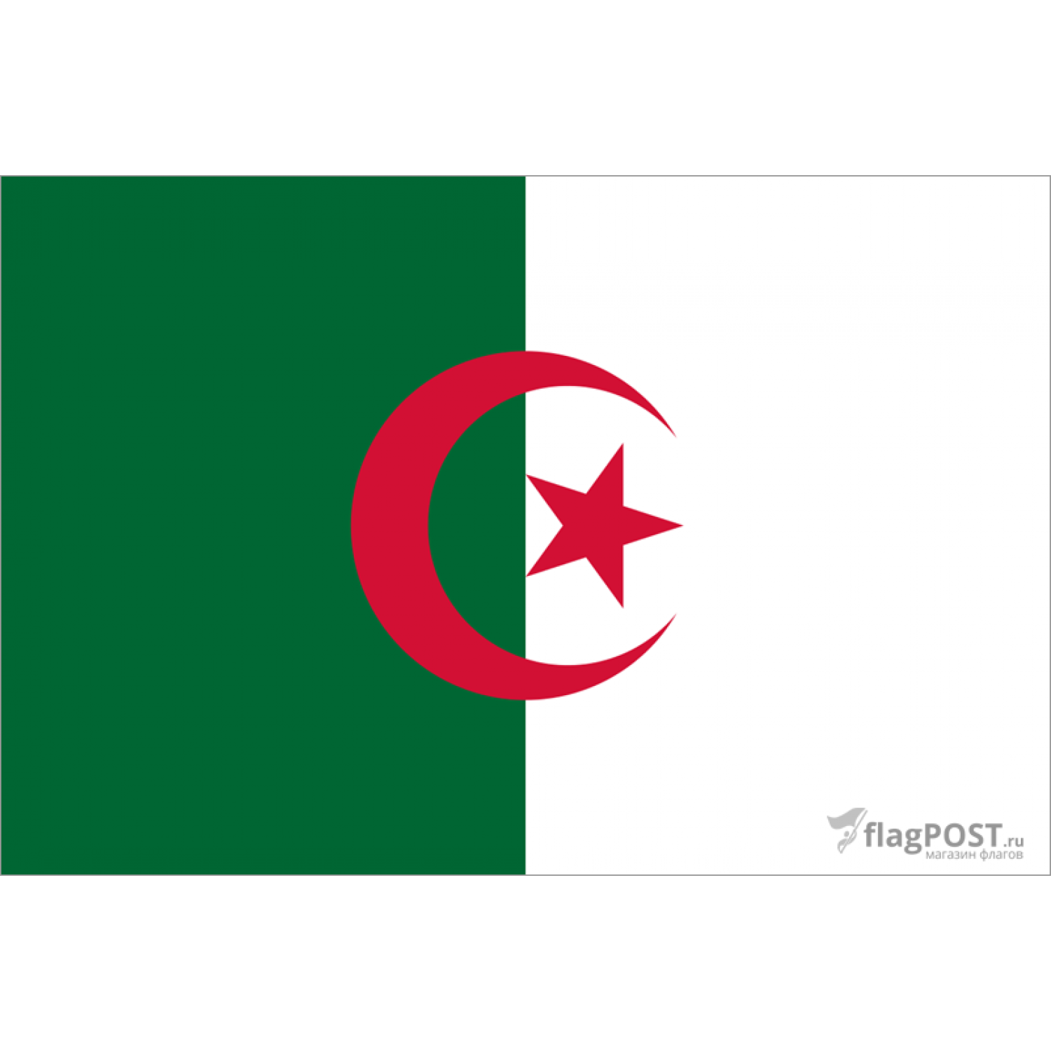 Флаг страны Алжир (100x150 см., флажная сетка, прямая печать, прошит по периметру, карман слева)