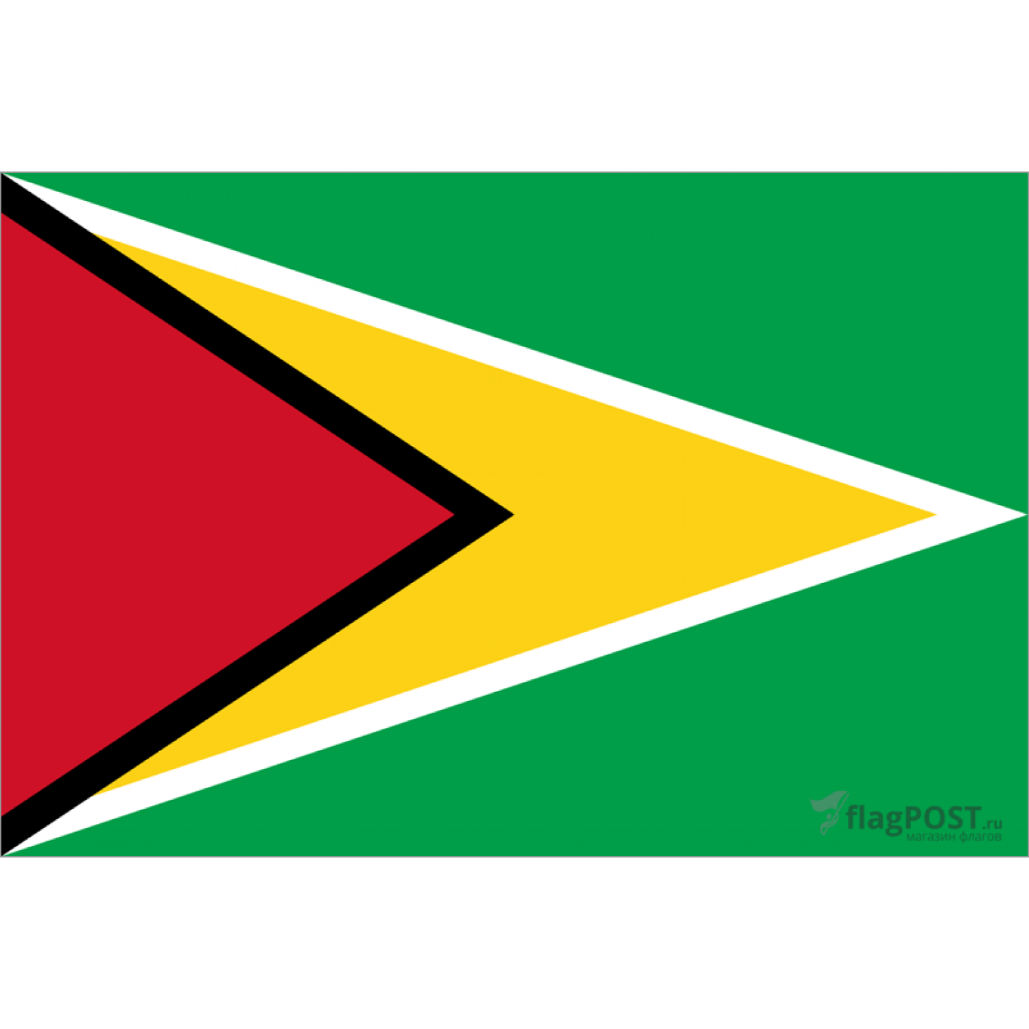 Флаг страны Гайана (100x150 см., флажная сетка, прямая печать, прошит по периметру, карман слева)