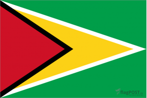 Флаг страны Гайана (100x150 см., полиэфирный шелк, сублимационная печать, прошит по периметру, карман слева)