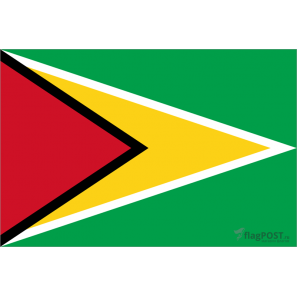 Флаг страны Гайана (15x22 см., полиэфирный шелк, сублимационная печать, карман слева)