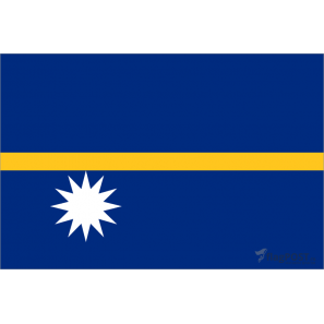 Флаг страны Науру (15x22 см., полиэфирный шелк, сублимационная печать, карман слева)