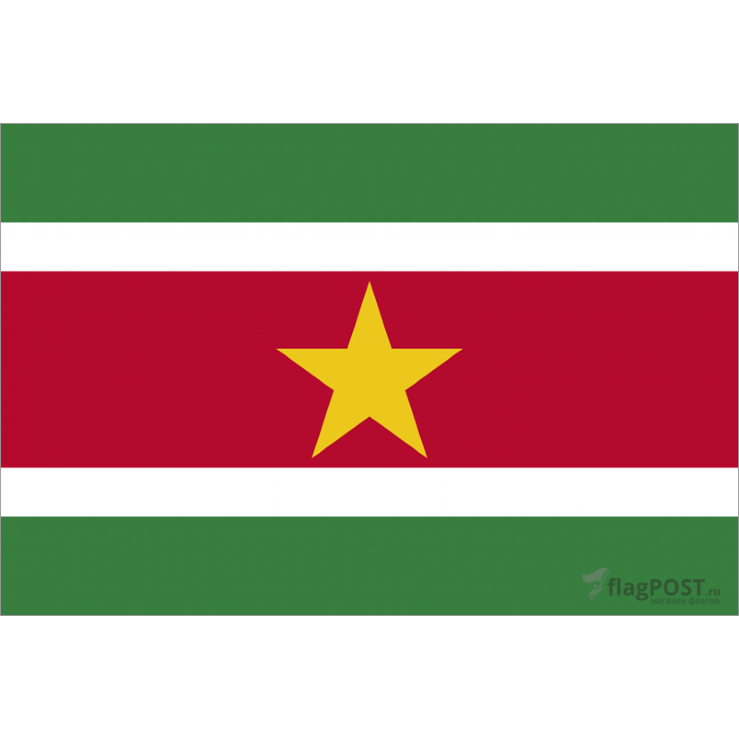 Флаг страны Суринам (70x105 см., полиэфирный шелк, прямая печать, прошит по периметру, карман слева)