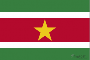 Флаг страны Суринам (100x150 см., полиэфирный шелк, прямая печать, прошит по периметру, карман слева)