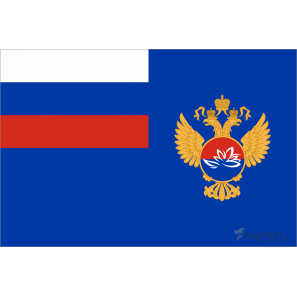 Флаг Министерства РФ по развитию Дальнего Востока (15x22 см., полиэфирный шелк, сублимационная печать, карман слева)